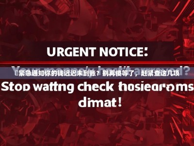 ️紧急通知你的钱迟迟未到账？别再傻等了，赶紧查这几项
