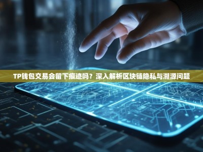 TP钱包交易会留下痕迹吗？深入解析区块链隐私与溯源问题