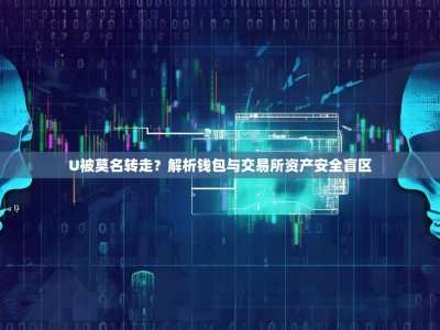 U被莫名转走？解析钱包与交易所资产安全盲区