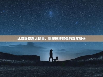 比特堡特派大明星，揭秘神秘偶像的真实身份