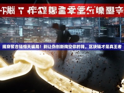 揭穿聚合链惊天骗局！别让伪创新掏空你的钱，区块链才是真王者