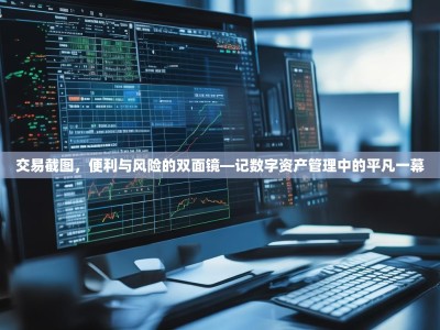 交易截图，便利与风险的双面镜—记数字资产管理中的平凡一幕