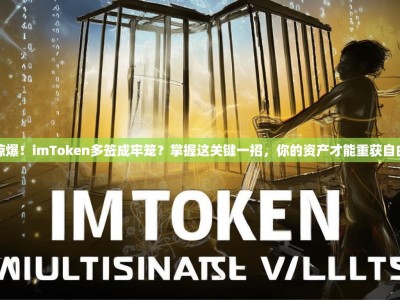 惊爆！imToken多签成牢笼？掌握这关键一招，你的资产才能重获自由