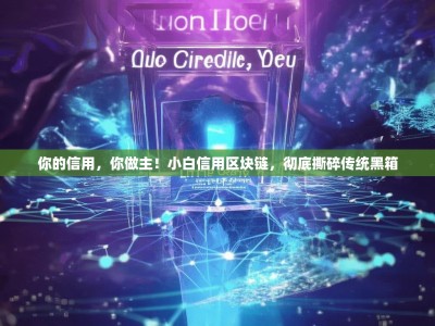 你的信用，你做主！小白信用区块链，彻底撕碎传统黑箱