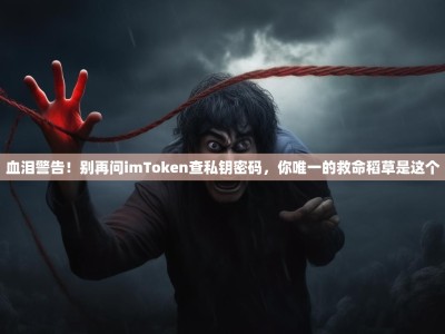 血泪警告！别再问imToken查私钥密码，你唯一的救命稻草是这个